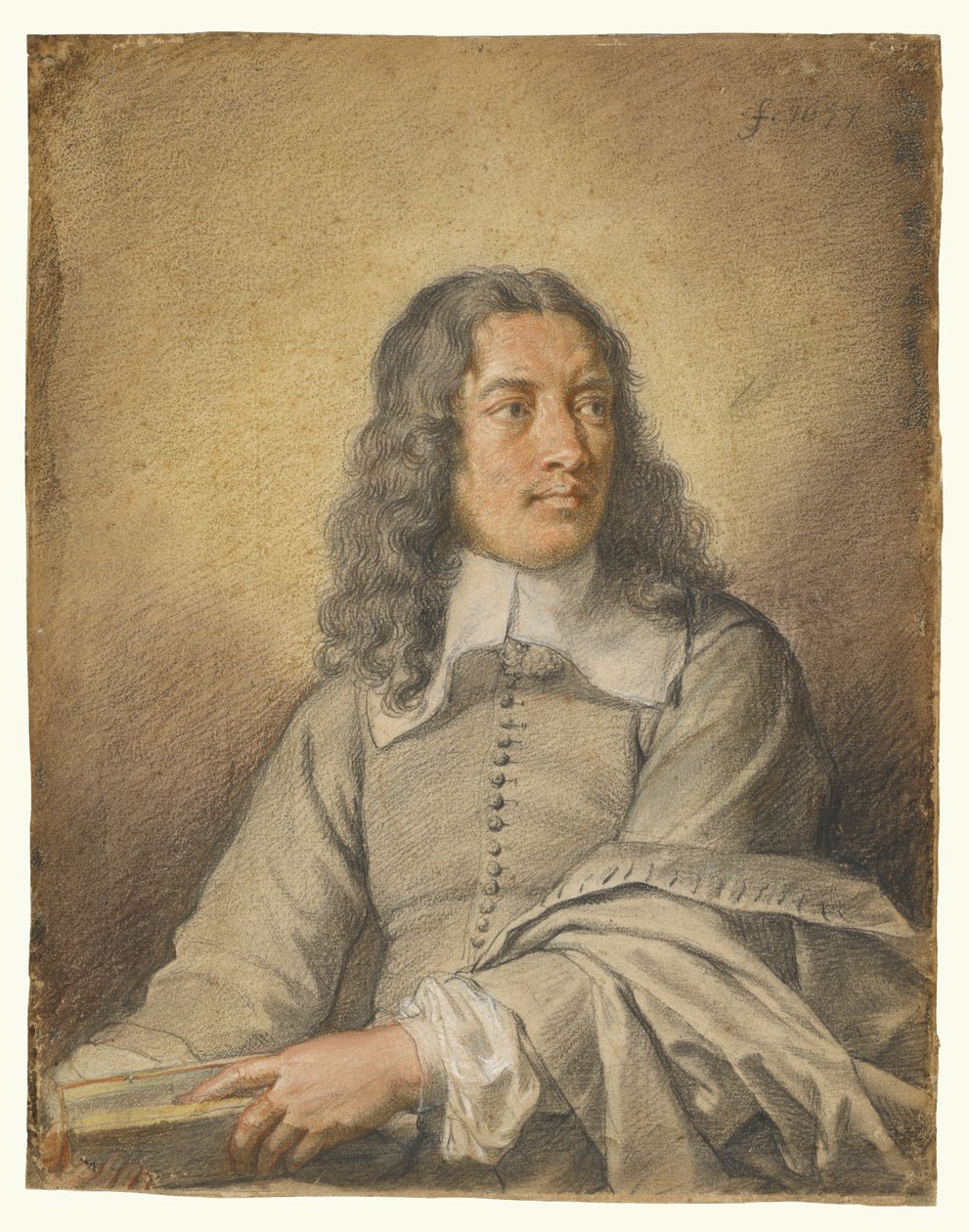 Portrait de M. Quatrehomme du Lys - Charles Le Brun