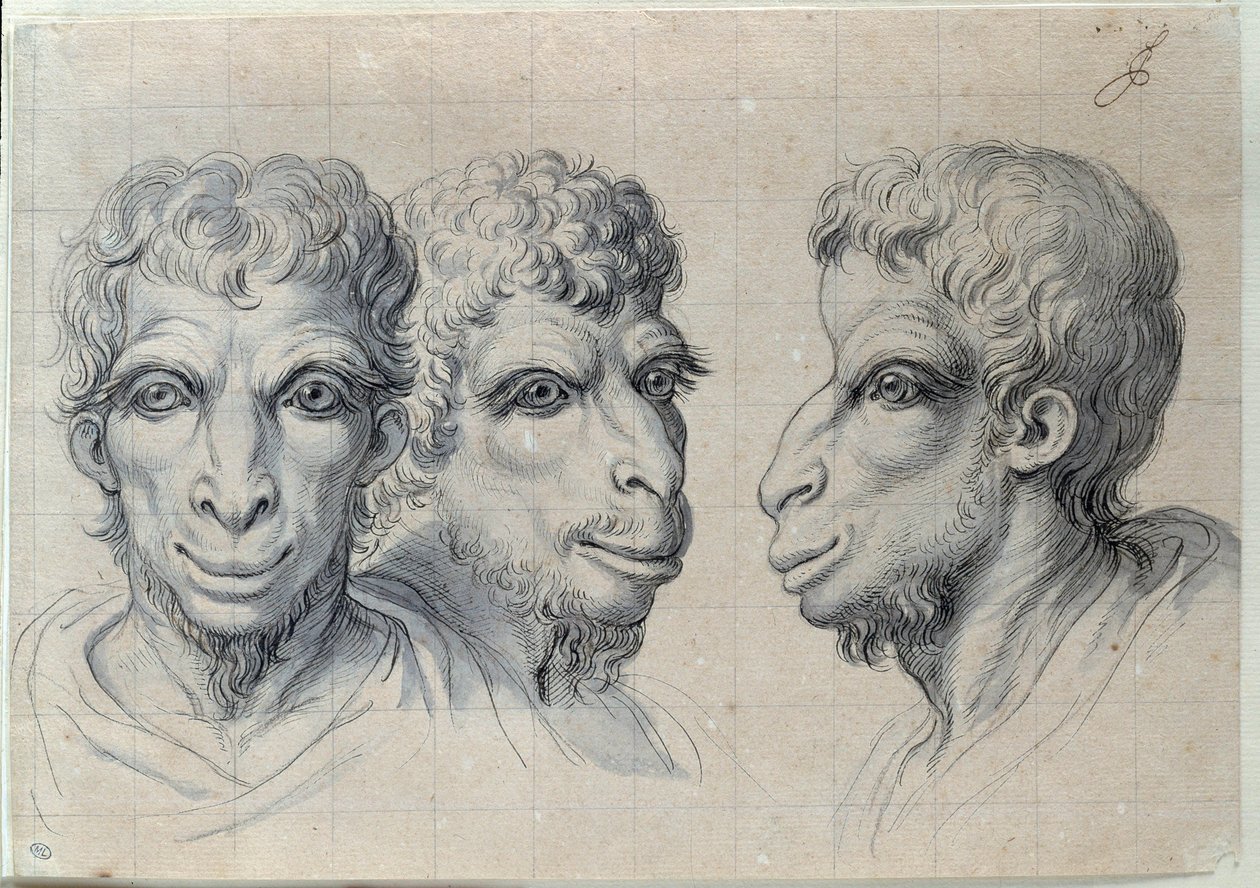 Études de trois têtes d