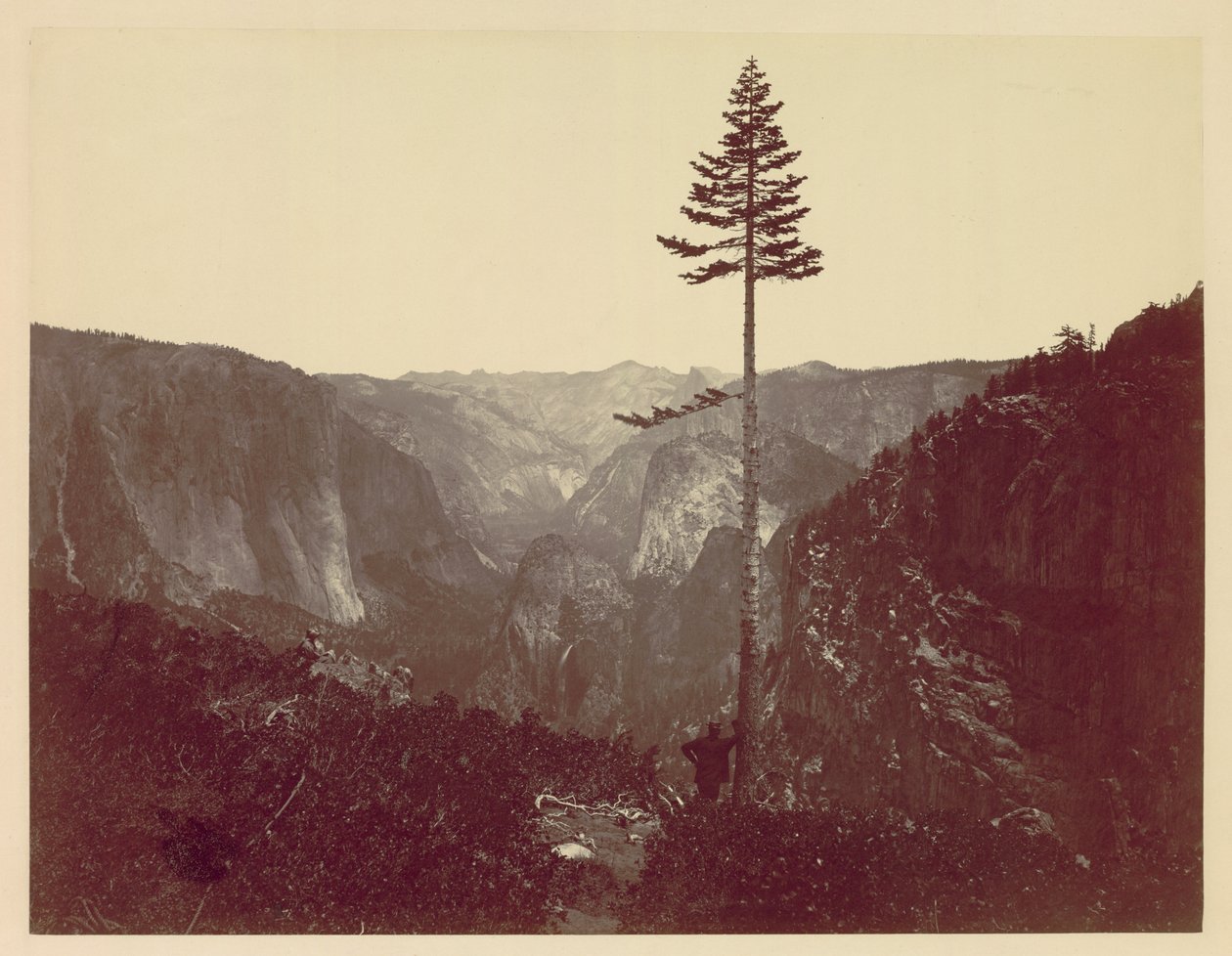 Vallée de Yosemite depuis le sentier de Mariposa, vers 1865 - Charles Leander Weed