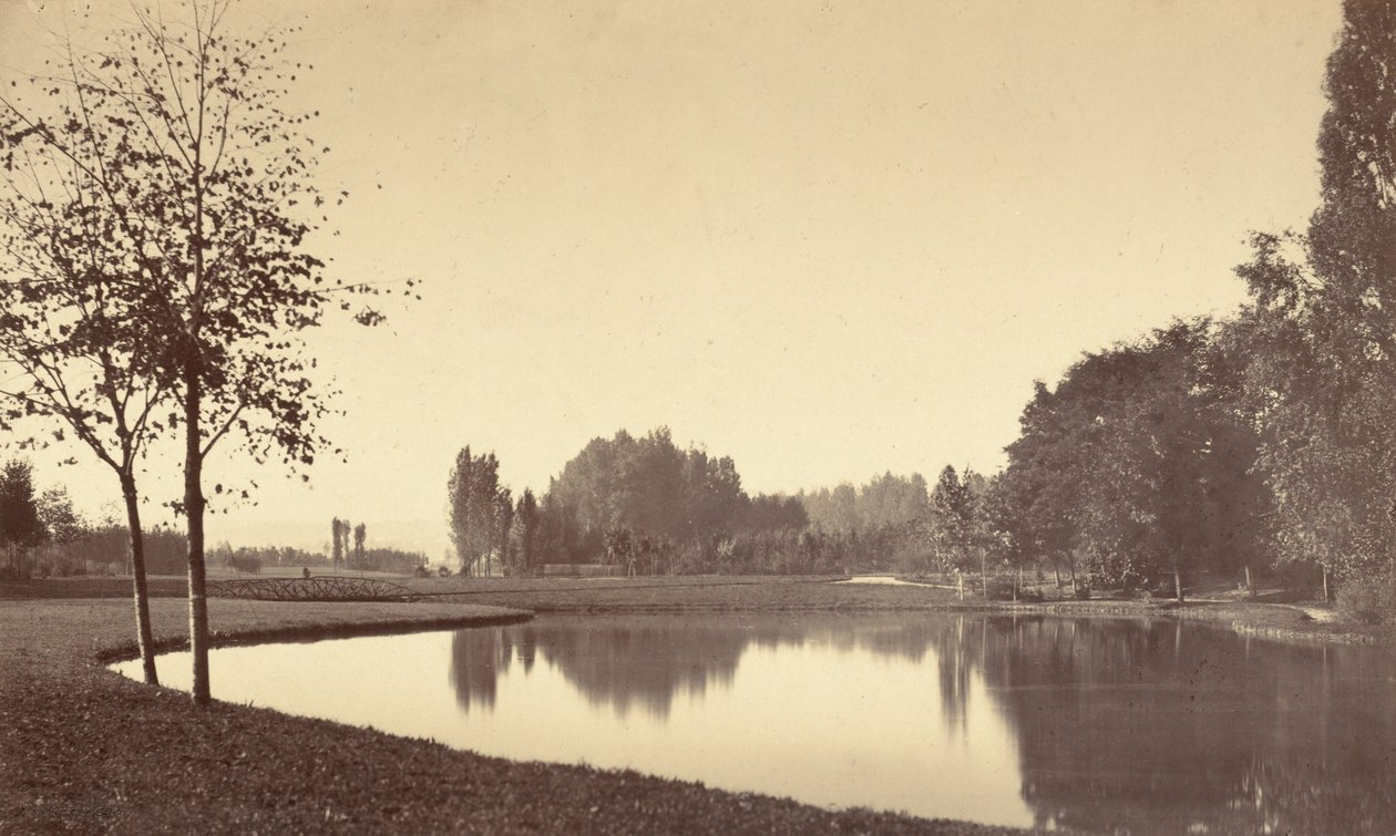 Bois de Boulogne - Charles Marville