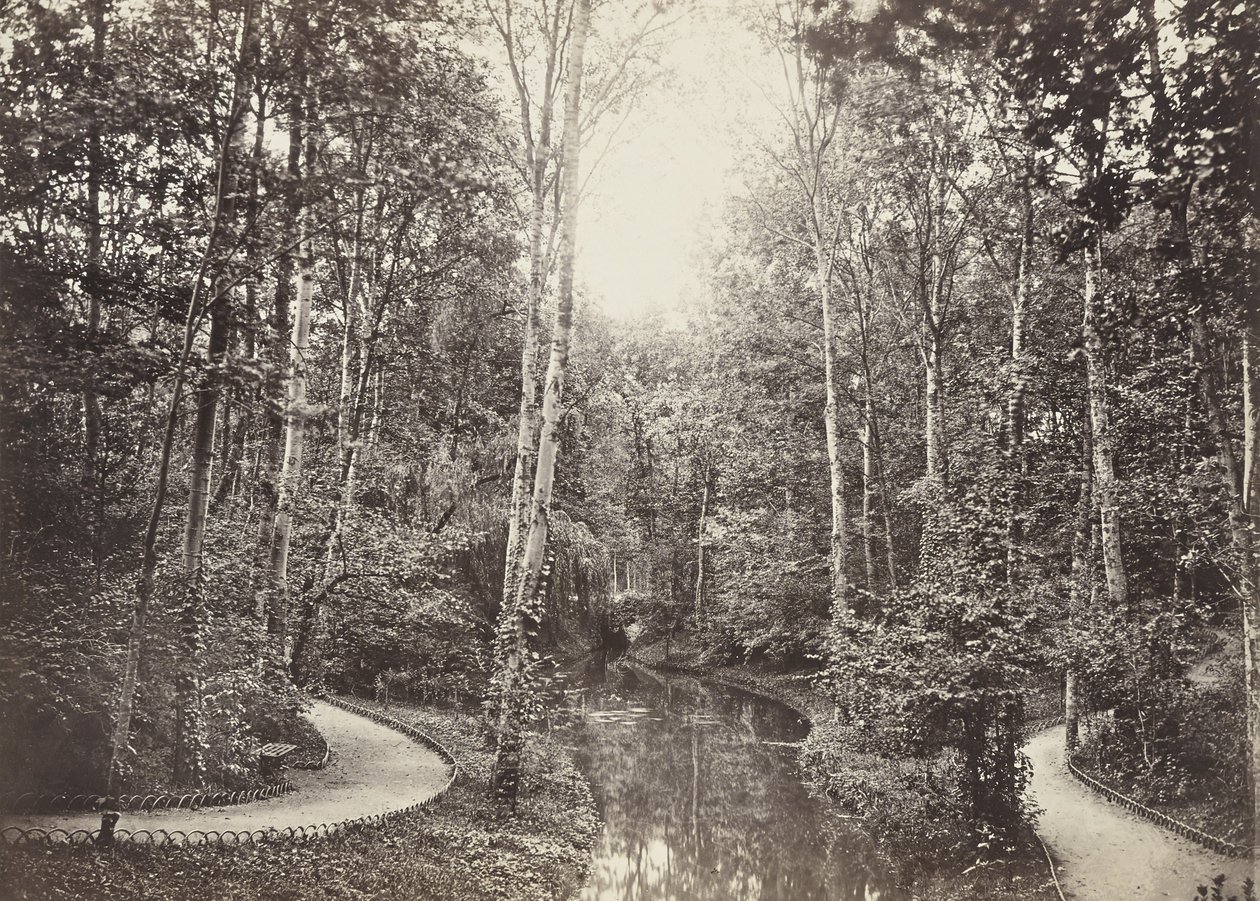 Mare aux biches, Bois de Boulogne - Charles Marville