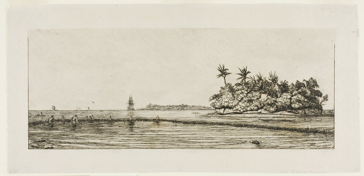 Océanie : Pêche, près des îles avec des palmiers dans le groupe Uea ou Wallis, 1845 - Charles Meryon