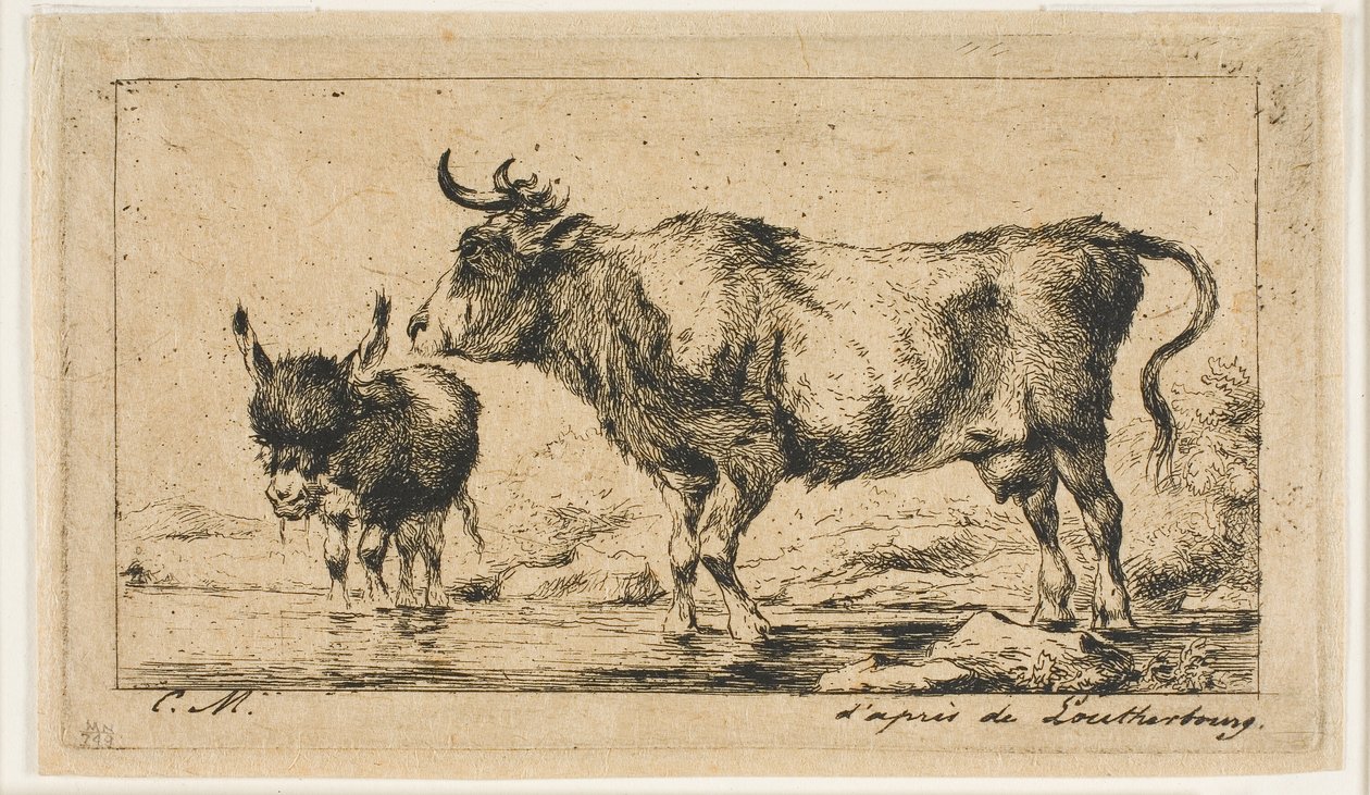 La vache et l
