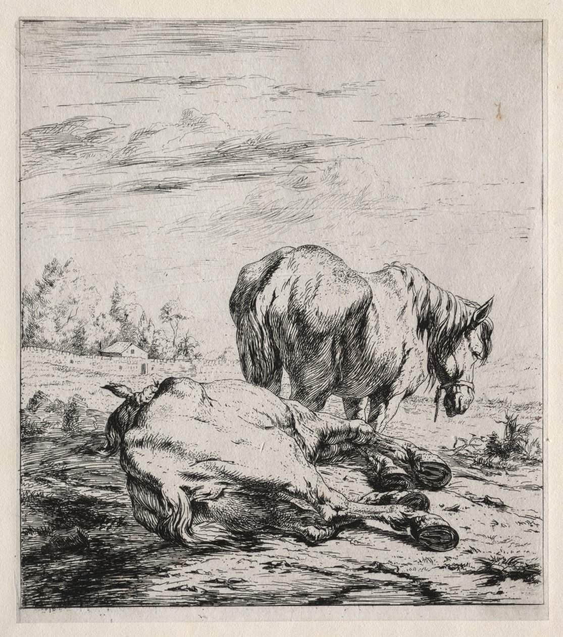 Les deux chevaux - Charles Meryon