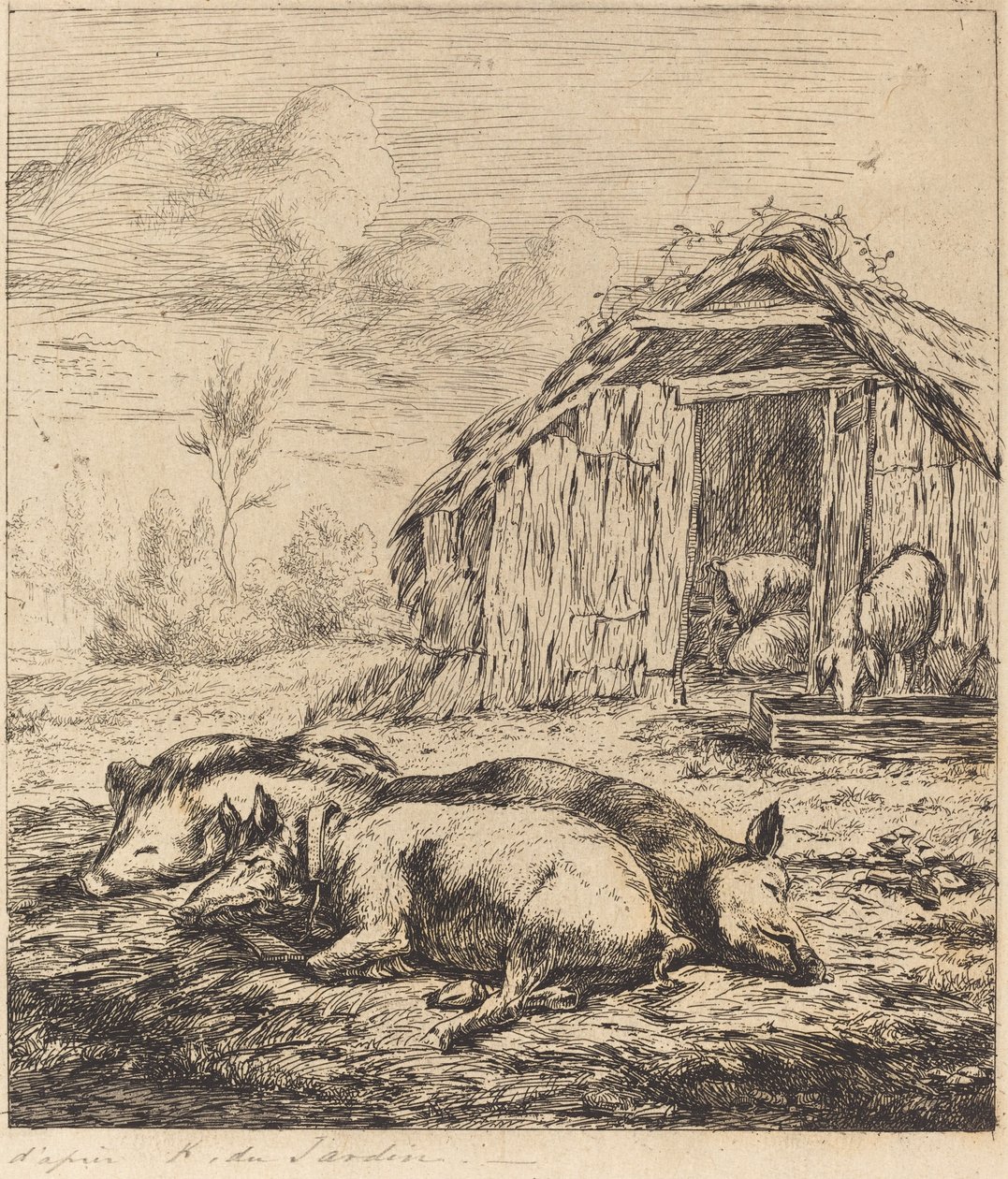 Les trois cochons couchés devant l