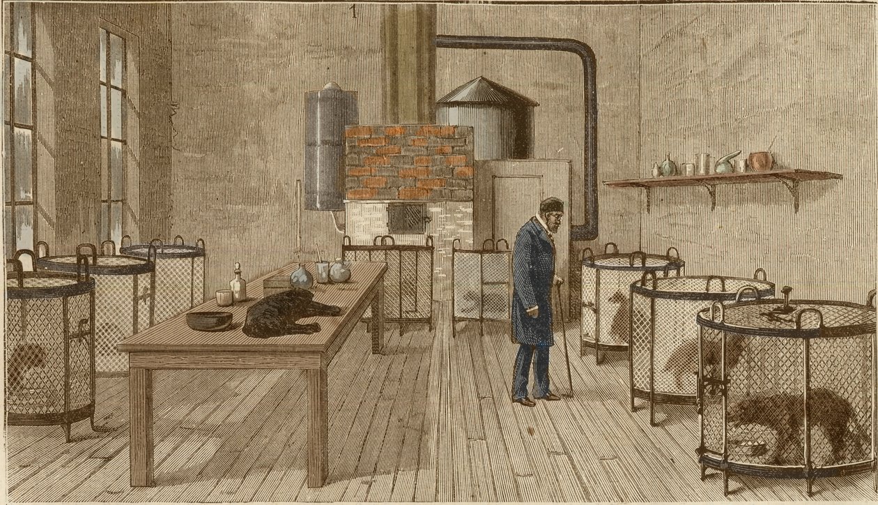 Chiens en cages dans le laboratoire de Louis Pasteur - Charles Paul Renouard