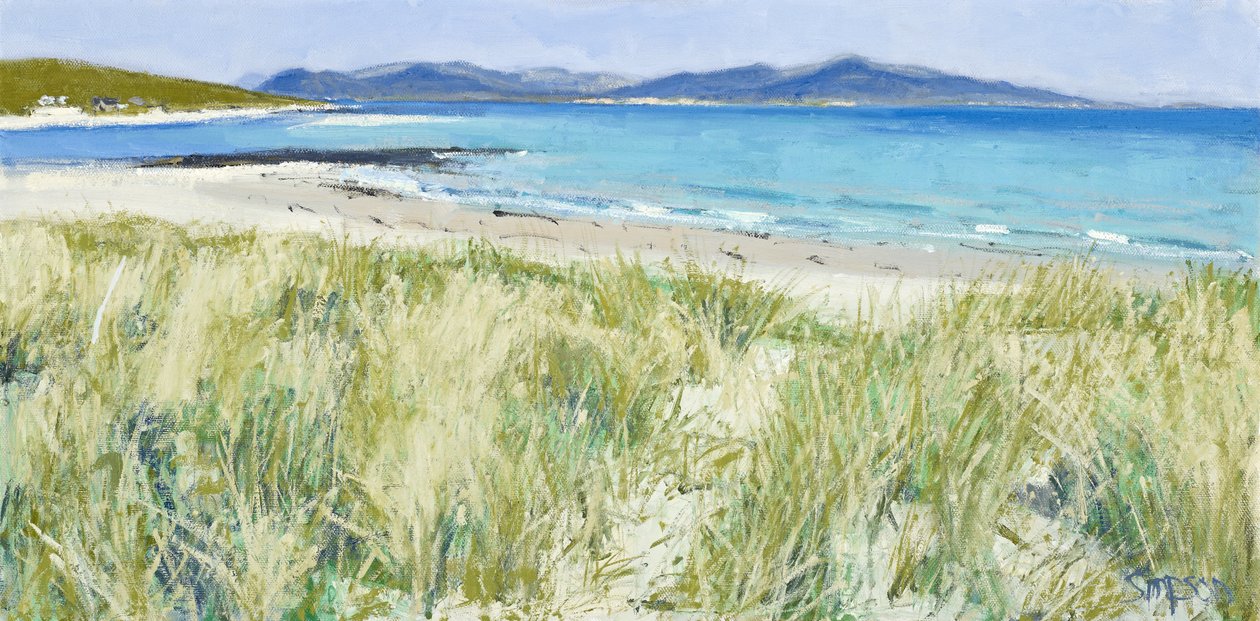 Herbes de plage, Berneray, 2011 (huile sur toile) - Charles Simpson