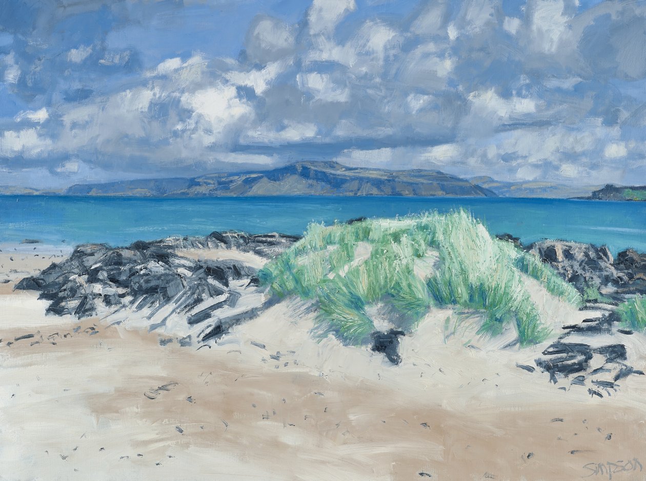 Roches et herbes, Iona, 2013 (huile sur toile) - Charles Simpson