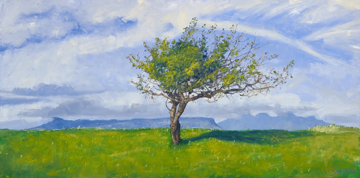Arbre de la côte ouest, 2015 (huile sur toile) - Charles Simpson