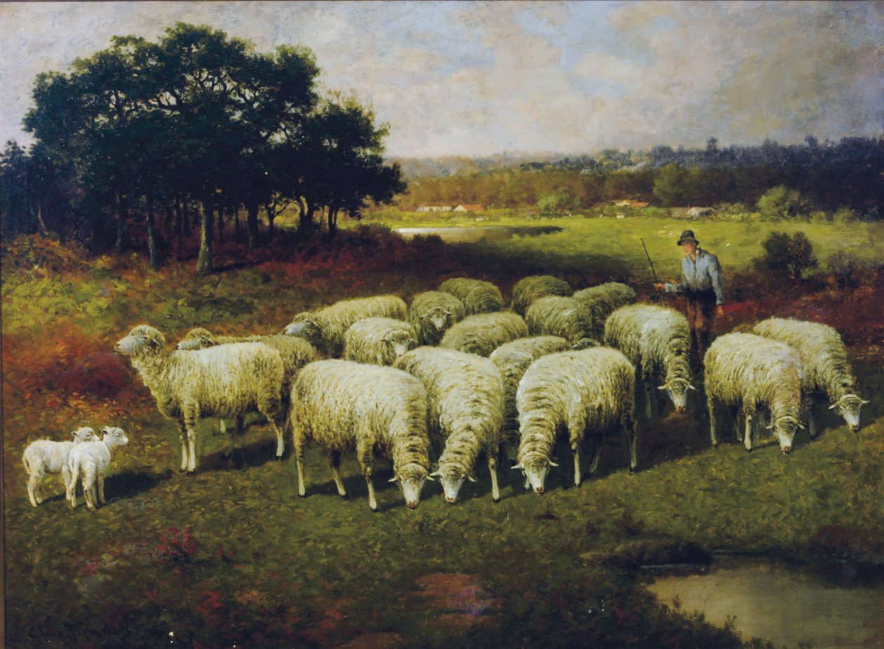 Un berger avec ses moutons dans le champ, 1898 - Charles T. Phelan