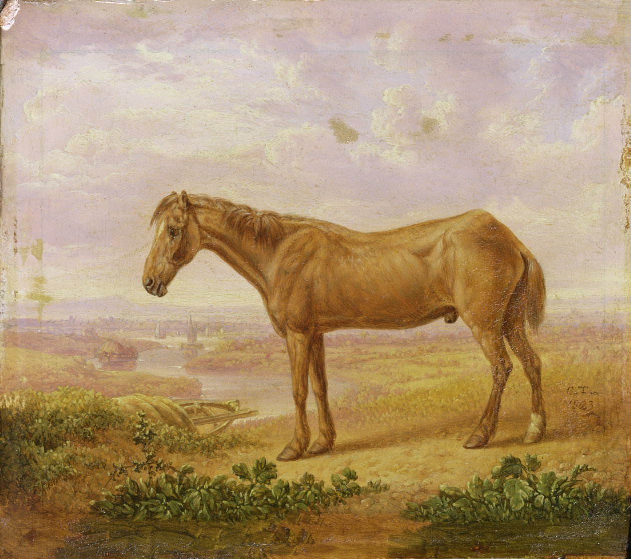Vieux Billy, un cheval de trait, âgé de 62 ans - Charles Towne