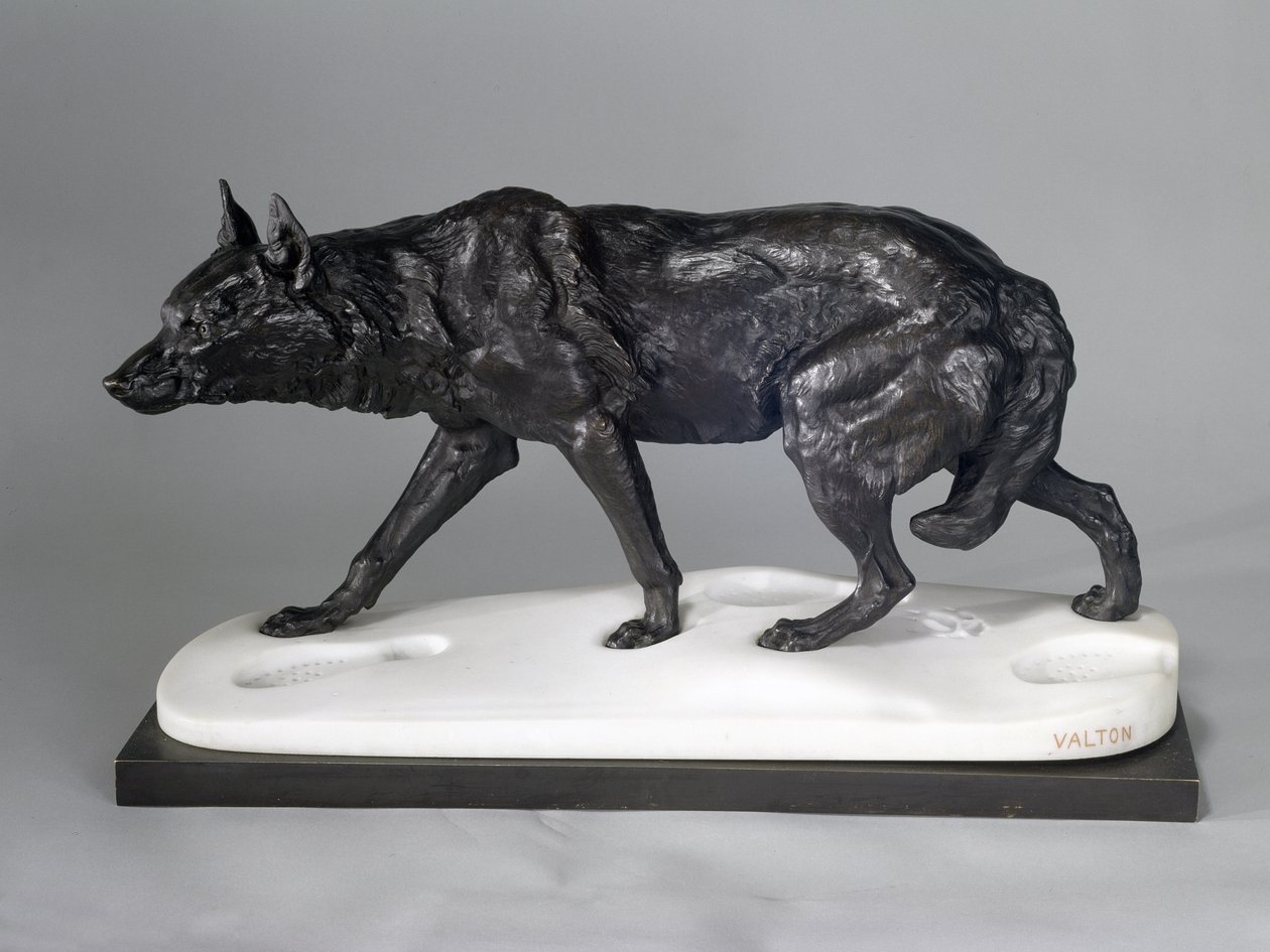Loup traquant dans la neige - Charles Valton