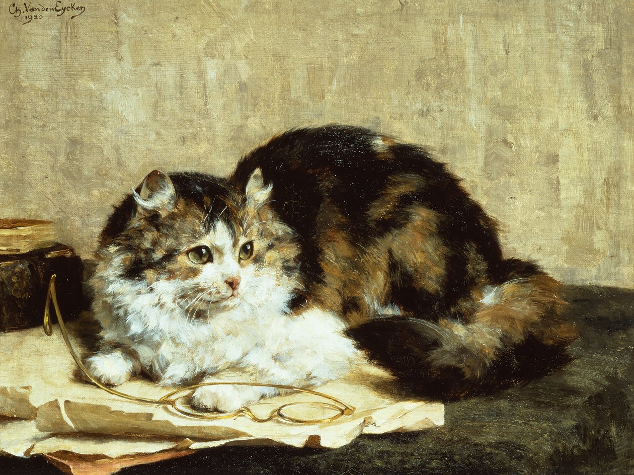 Un chat tigré - Charles van den Eycken