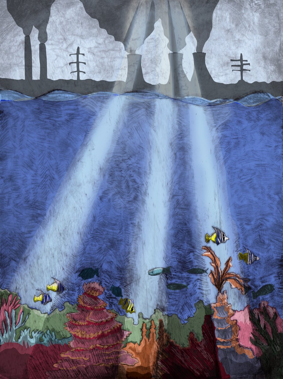 Récif de corail, 2013 - Charlotte Orr