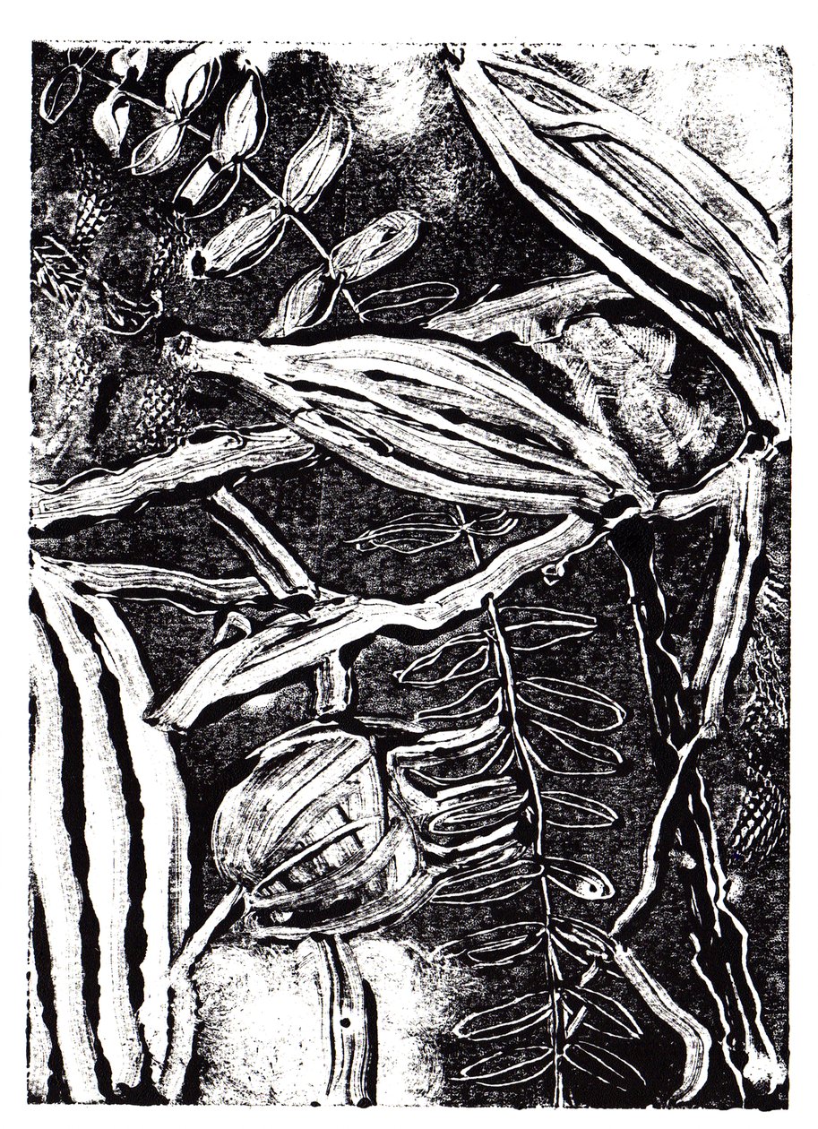 Plantes encrées, 2019 - Charlotte Orr