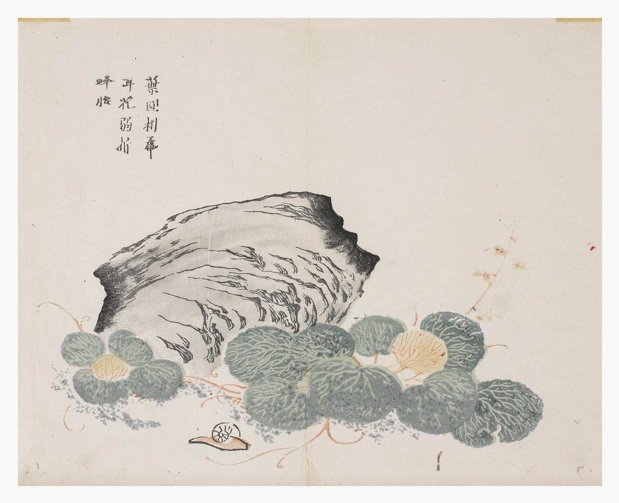 Jardin de graines de moutarde - Chinese School