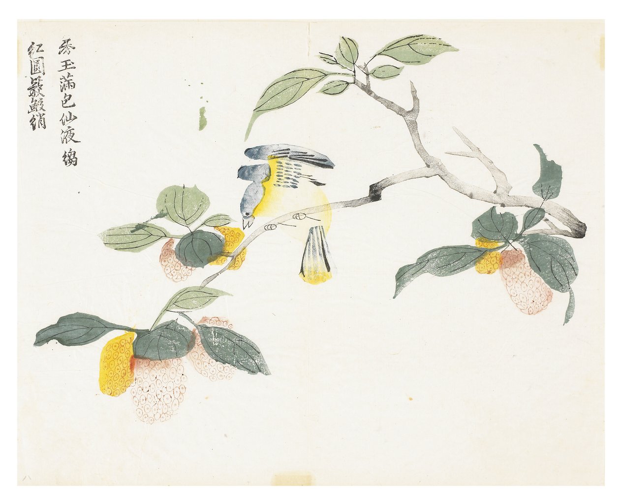 Jardin de graines de moutarde - Chinese School