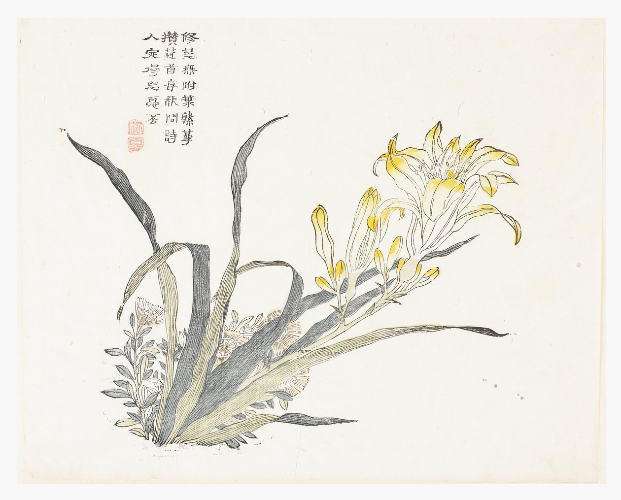 Jardin de graines de moutarde - Chinese School