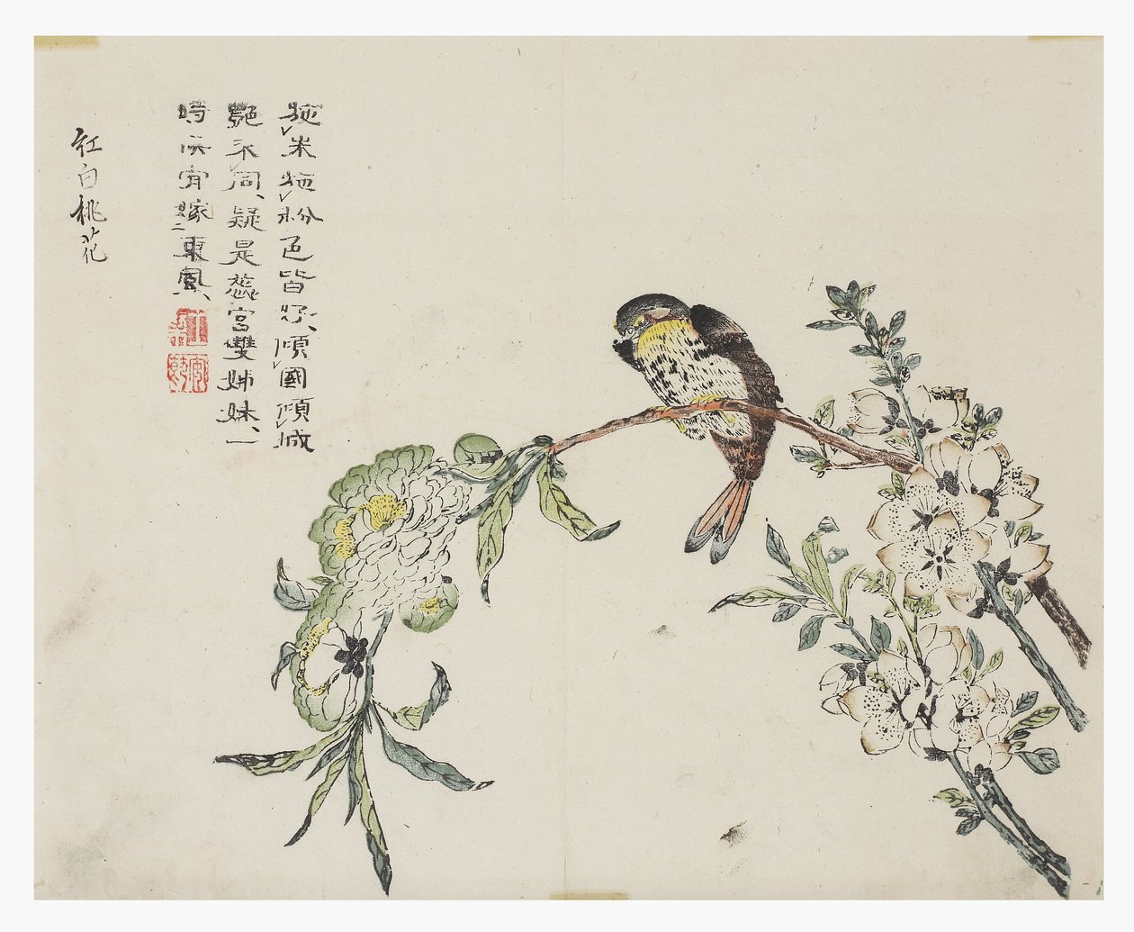 Jardin de la graine de moutarde - Chinese School