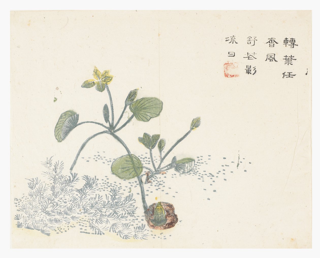 Jardin de la graine de moutarde - Chinese School