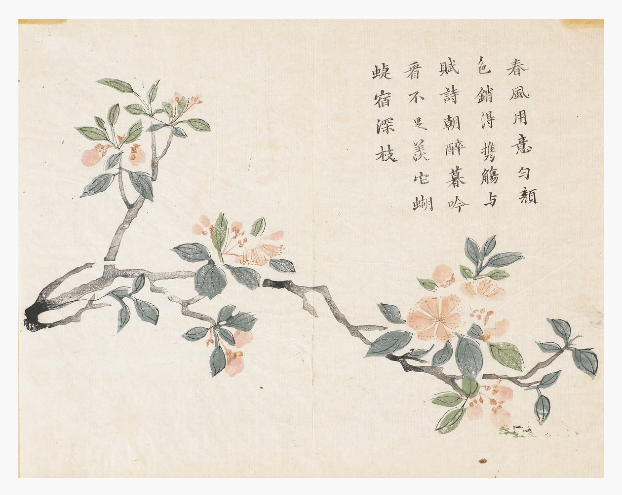 Jardin de graines de moutarde - Chinese School