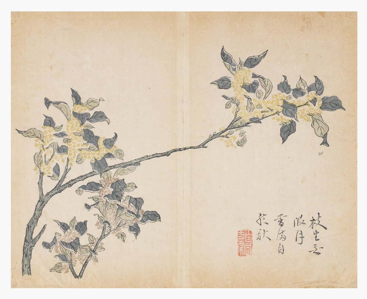 Jardin de graines de moutarde - Chinese School