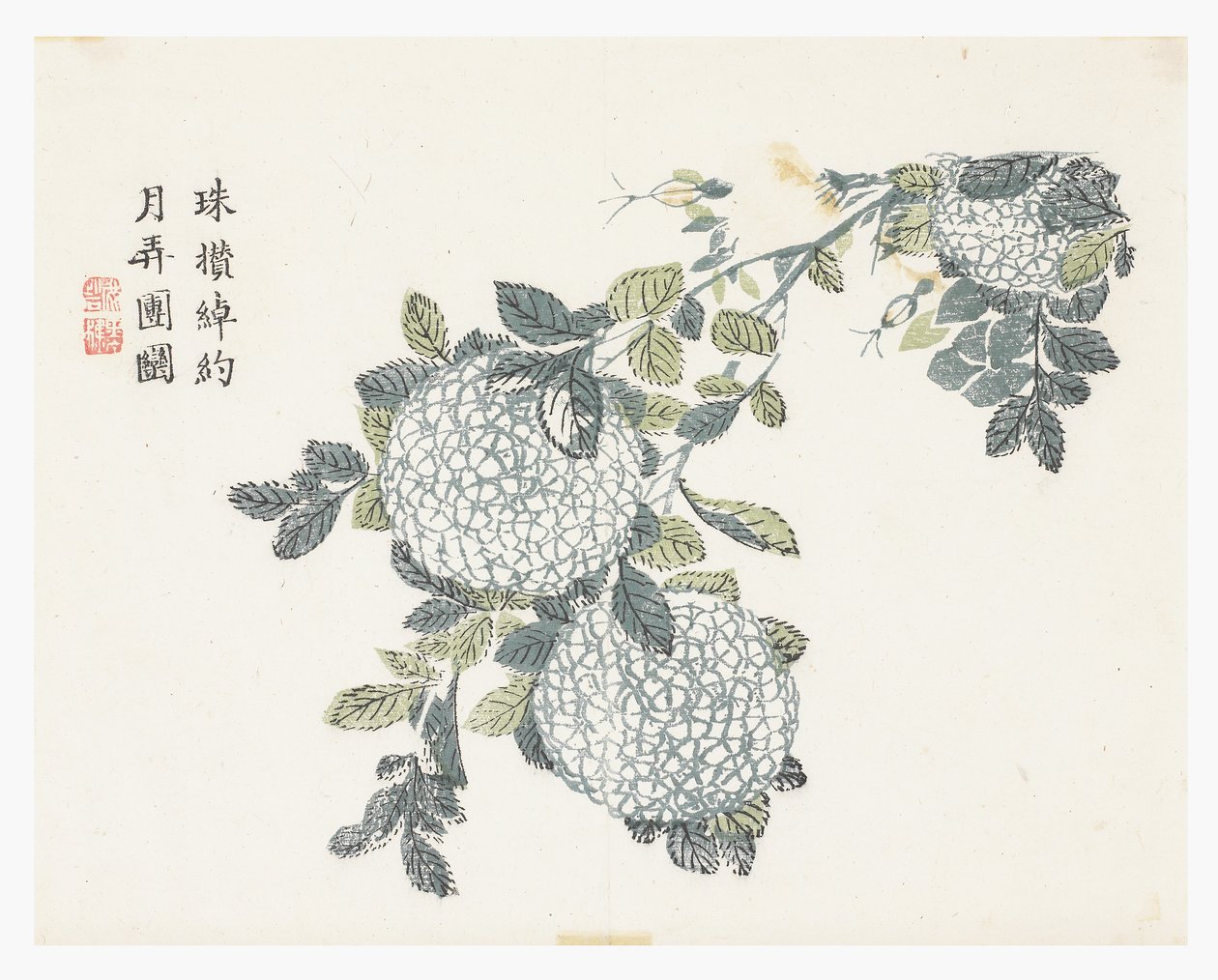Jardin de graines de moutarde - Chinese School