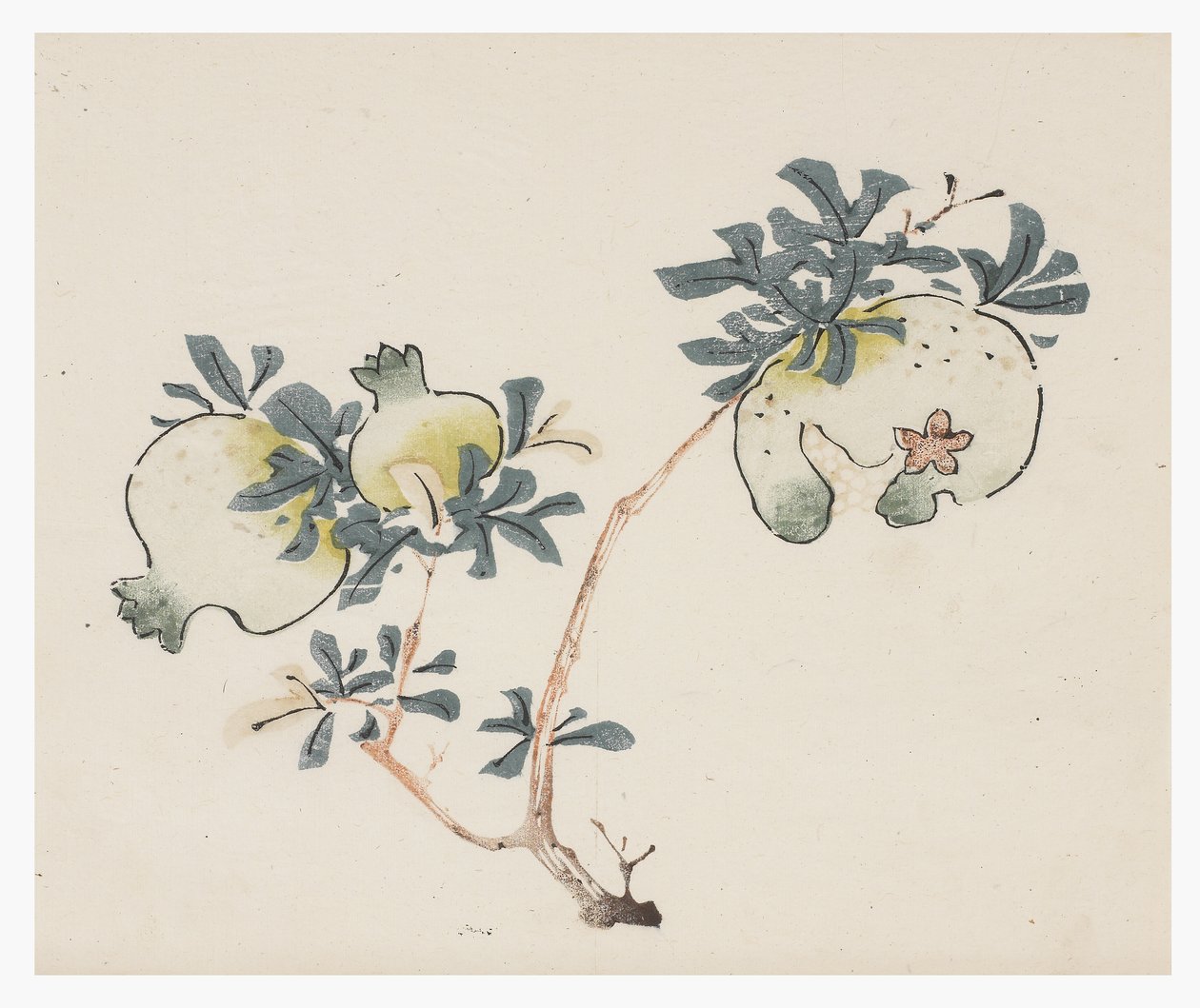 Série des Dix Bambous, XVIIIe siècle - Chinese School