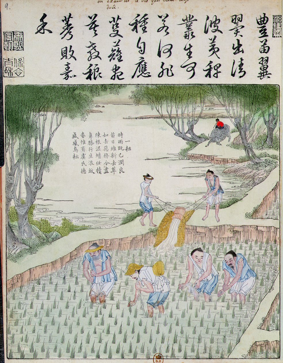 Désherbage, La culture du riz en Chine - Chinese School