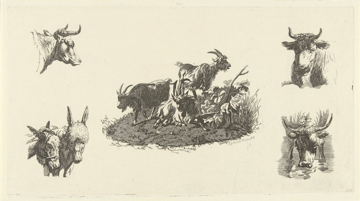 Trois chèvres avec têtes de vaches et d