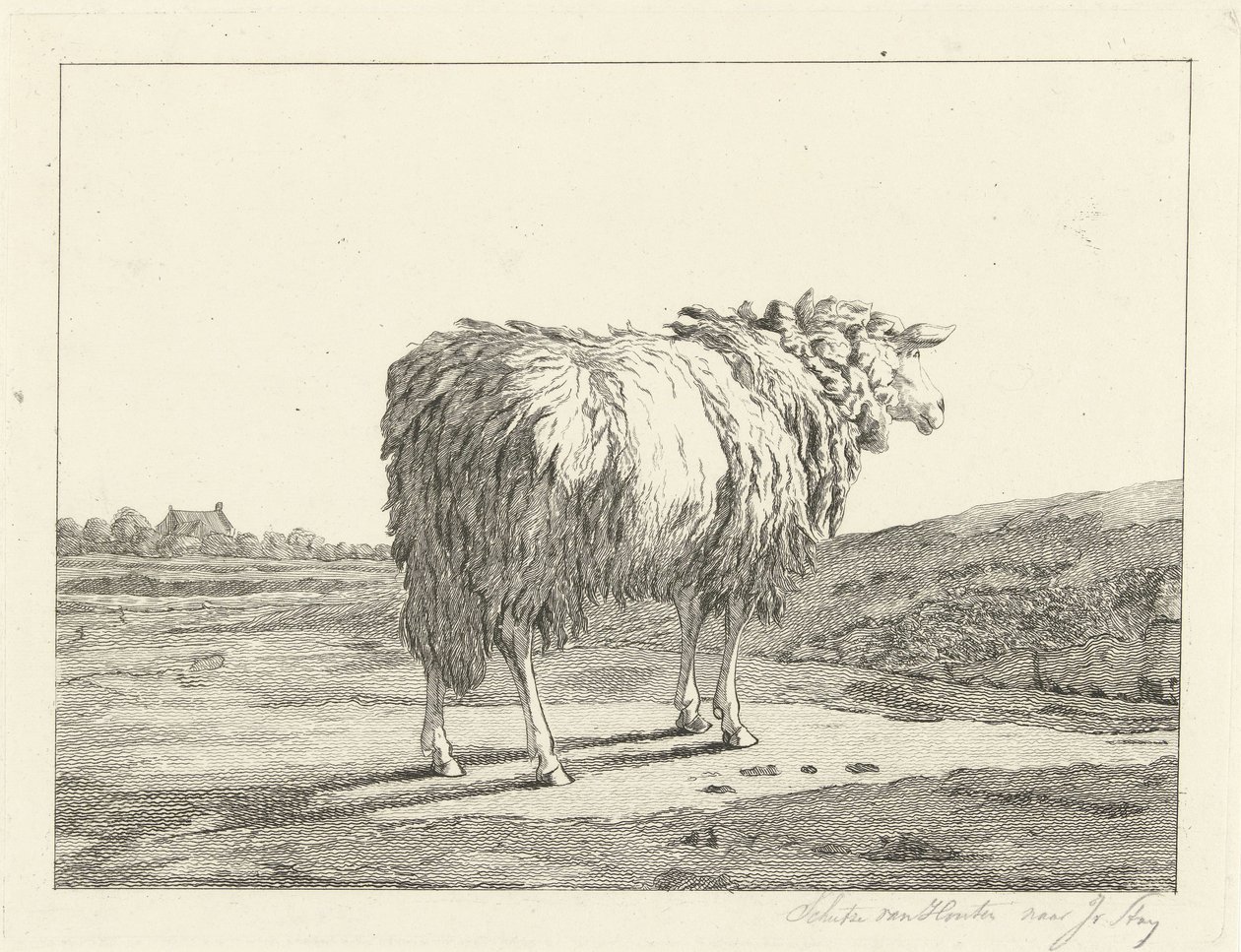 Mouton dans un paysage - Christiaan Godfried Schutze van Houten