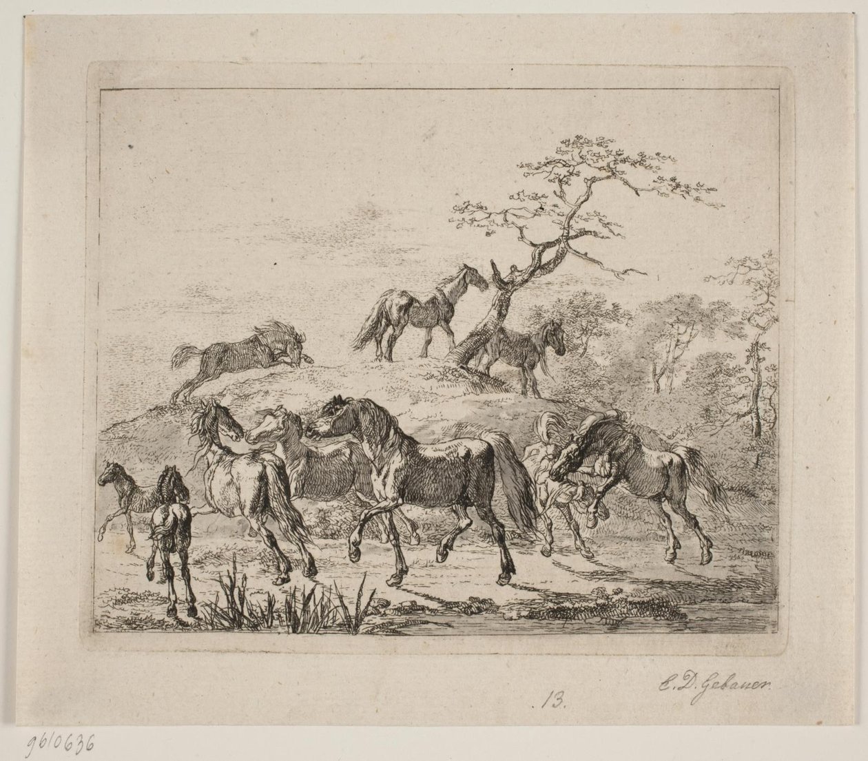 Chevaux de haras - Christian David Gebauer
