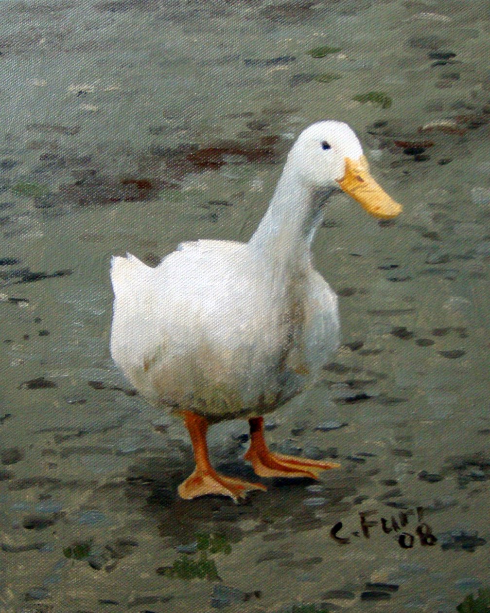 Oie, 2006 (huile sur toile) - Christian Furr