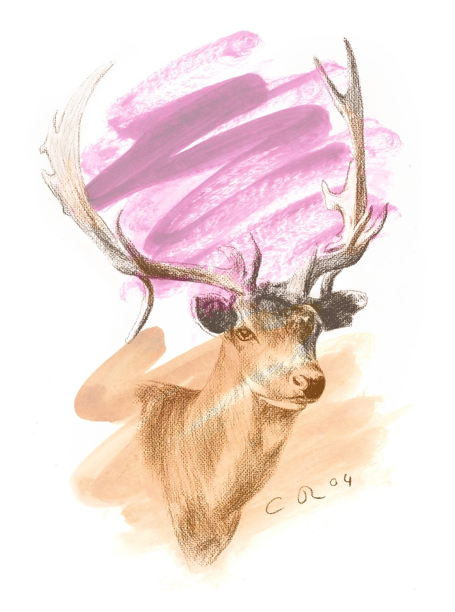 Tête de cerf - Cerise Sienne, 2004 - Christian Furr