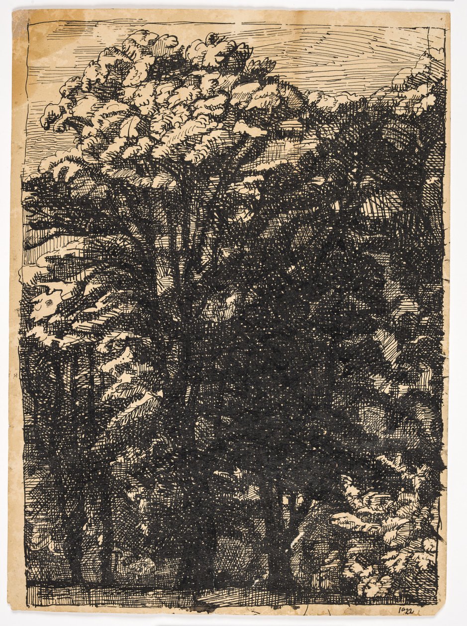 Arbres - Christian Kongstad Petersen