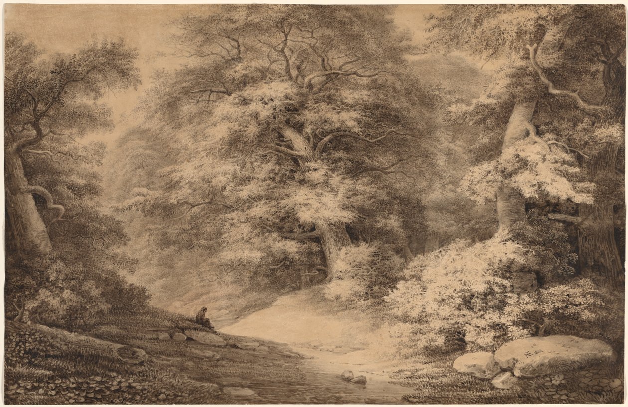 Bois de hêtres avec un voyageur se reposant - Christoph Nathe