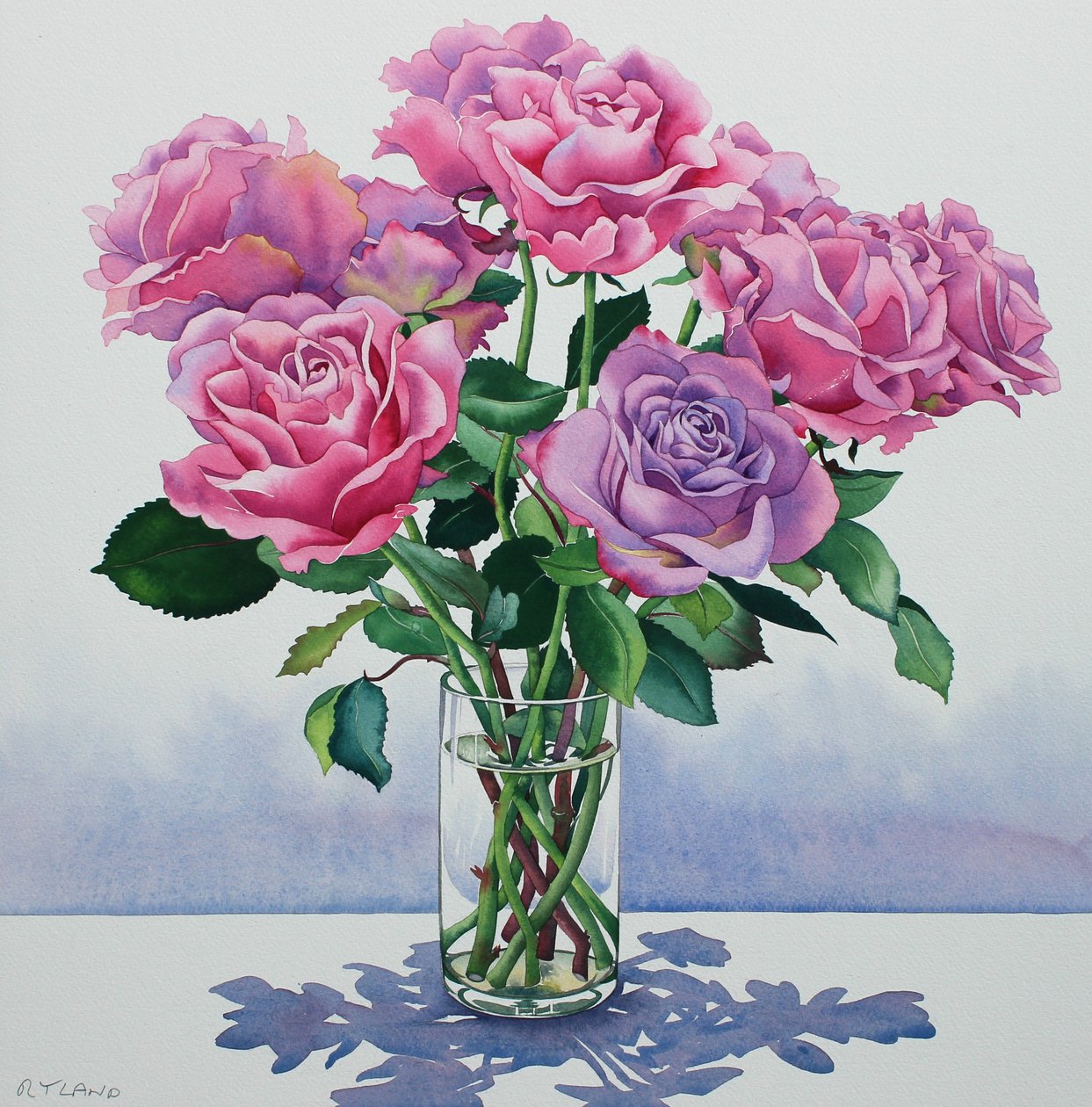 Roses Avalanche - Christopher Ryland