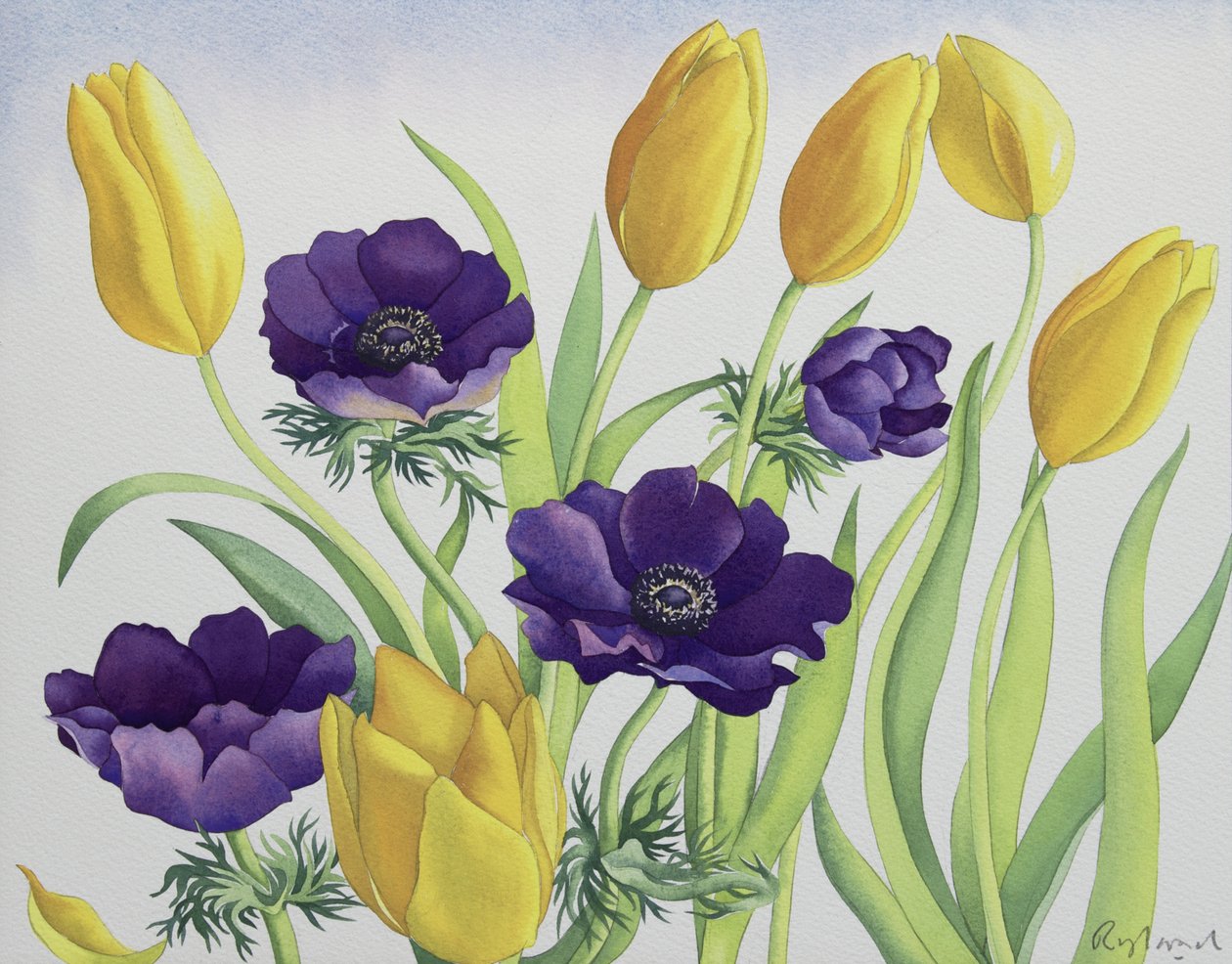 Tulipes et anémones - Christopher Ryland