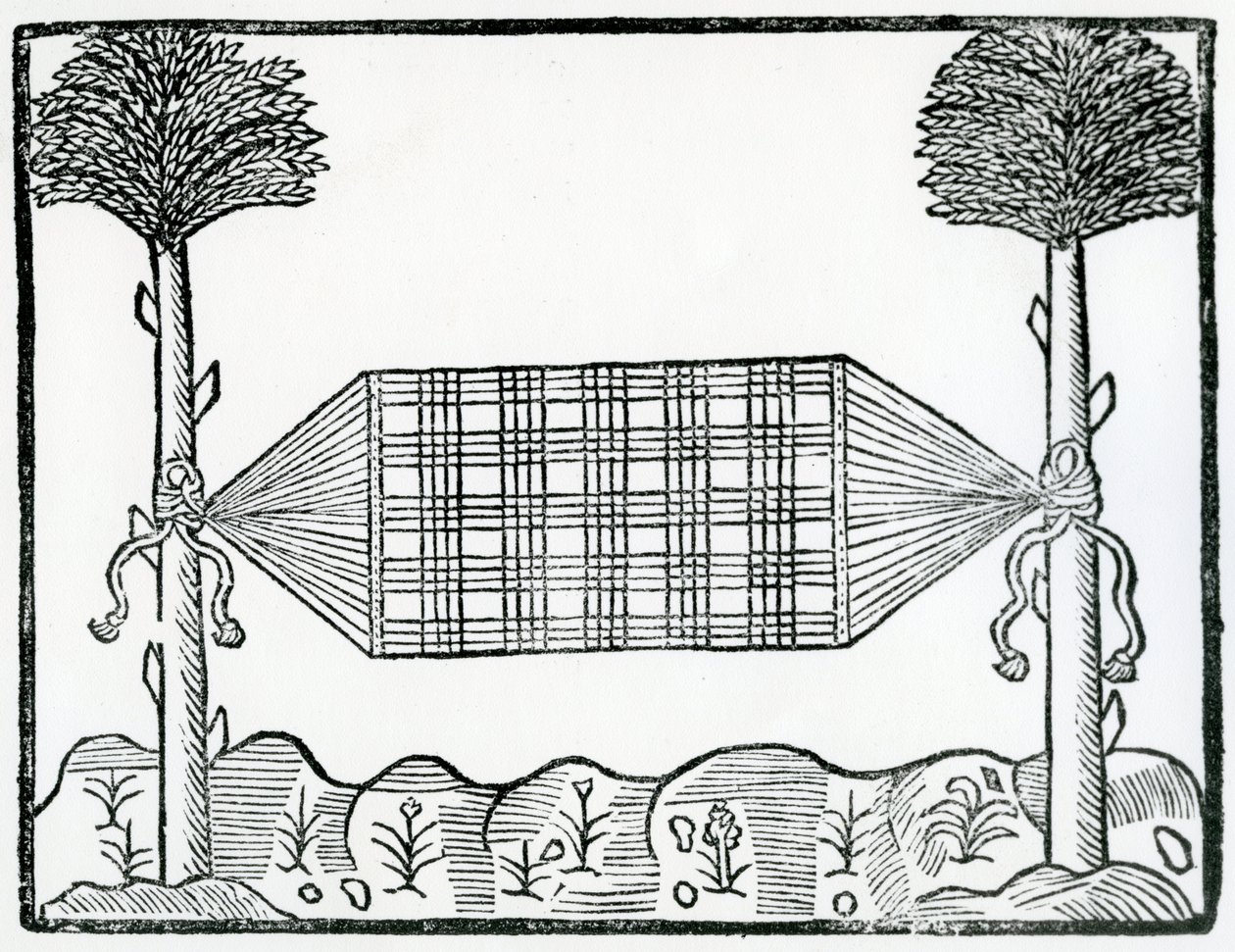 Un hamac de 