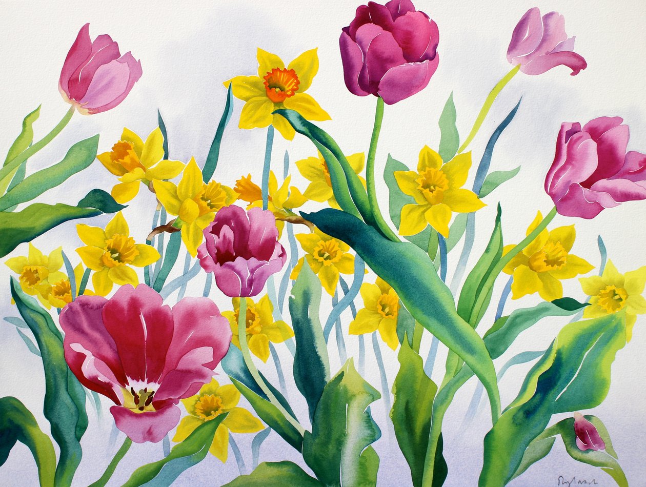 Jonquilles et tulipes - Christopher Ryland