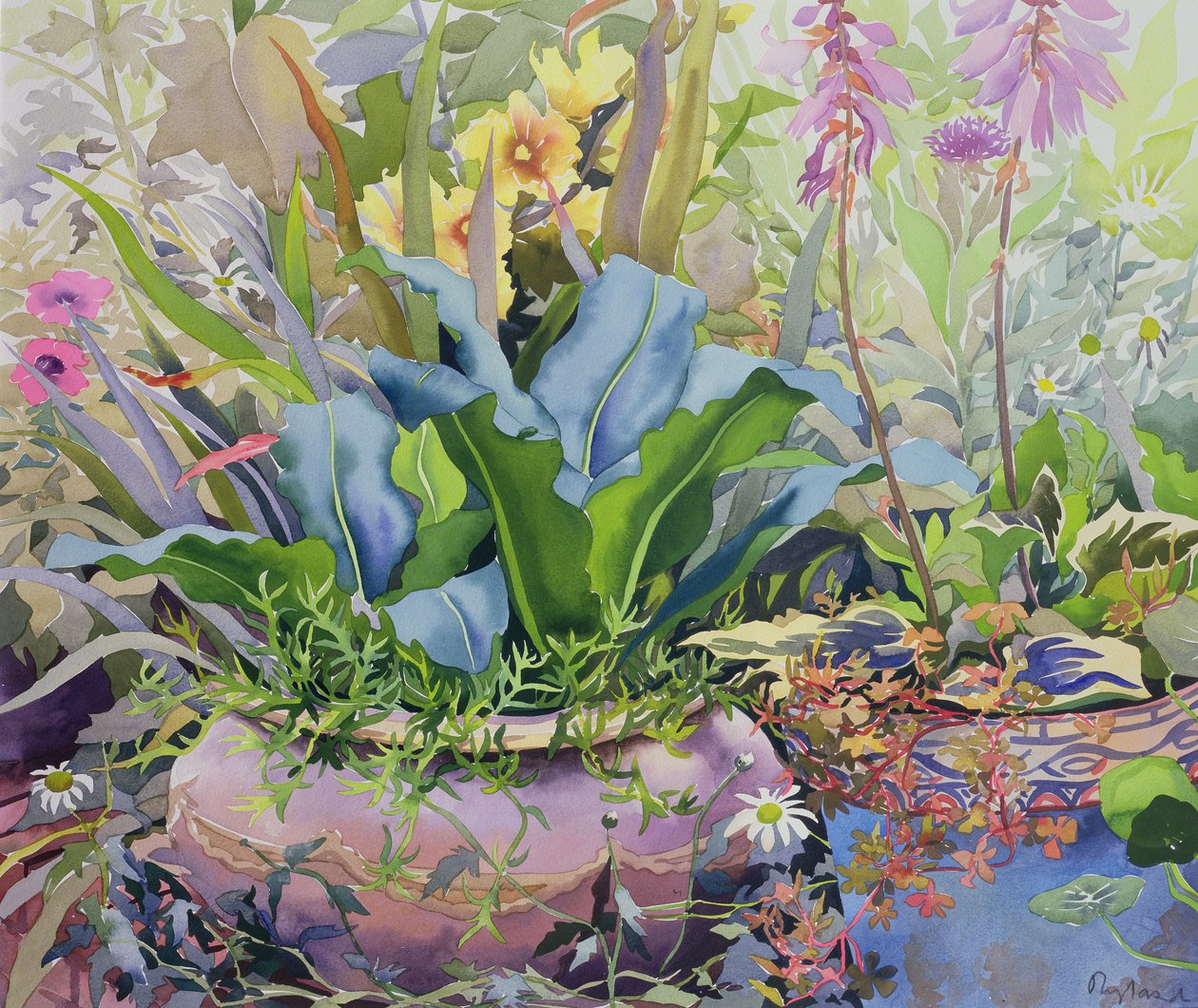 Jardin avec des plantes, 2000 - Christopher Ryland