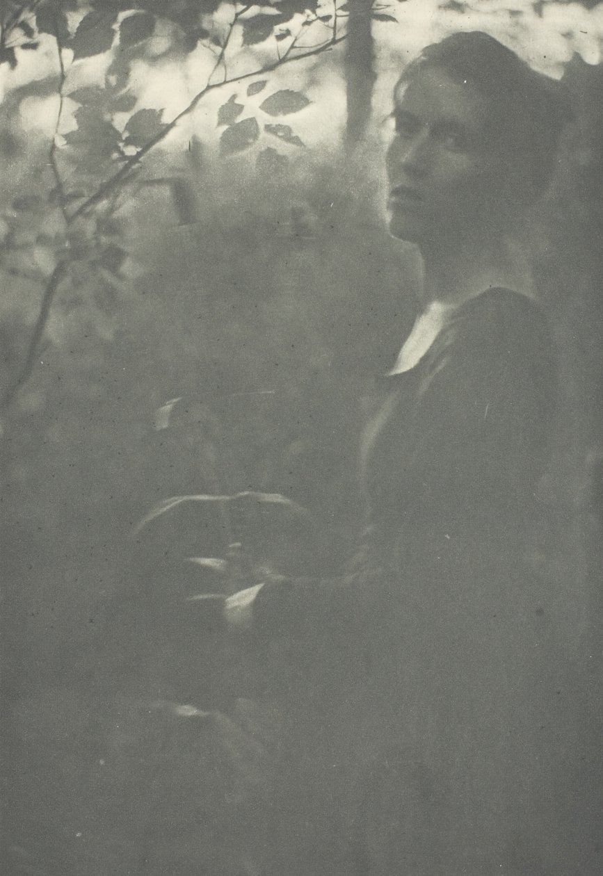 Bord de la forêt - Clarence H White