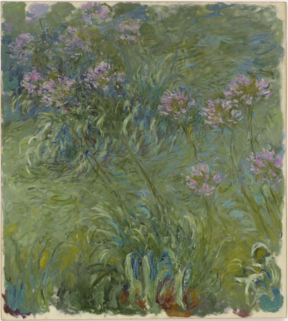Agapanthes - Claude Monet
