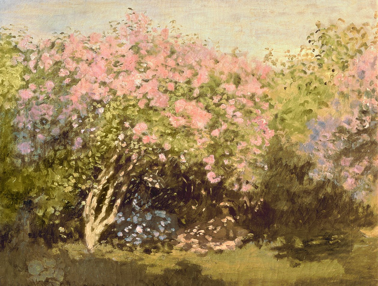 Lilas au soleil, 1873 - Claude Monet