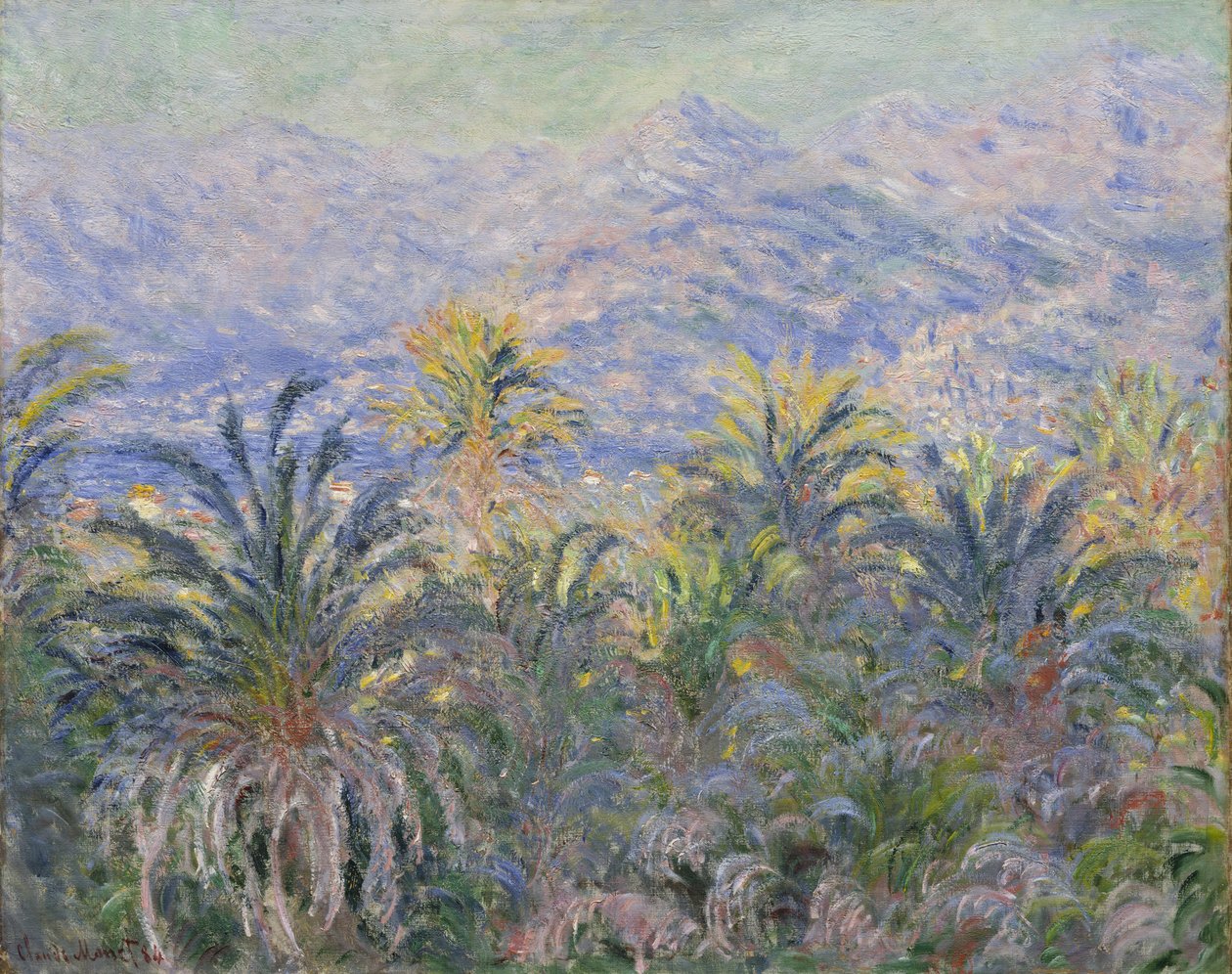 Palmiers à Bordighera - Claude Monet