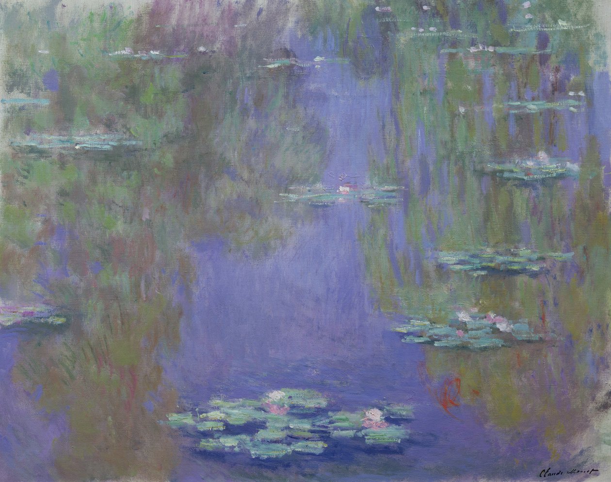Nénuphars, 1903 - Claude Monet
