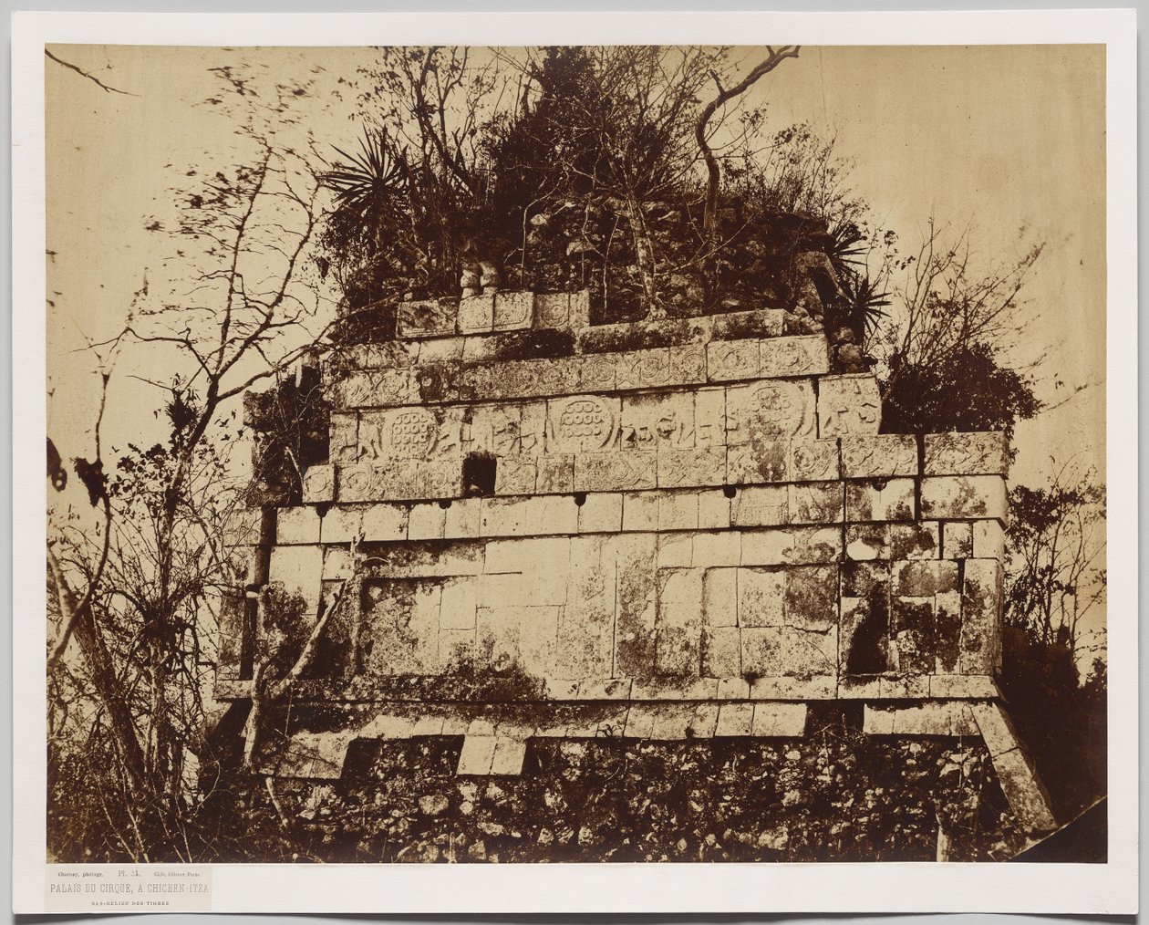 Palais du Cirque à Chichen-Itza (bas-relief des tigres) - Claude Joseph Désiré Charnay