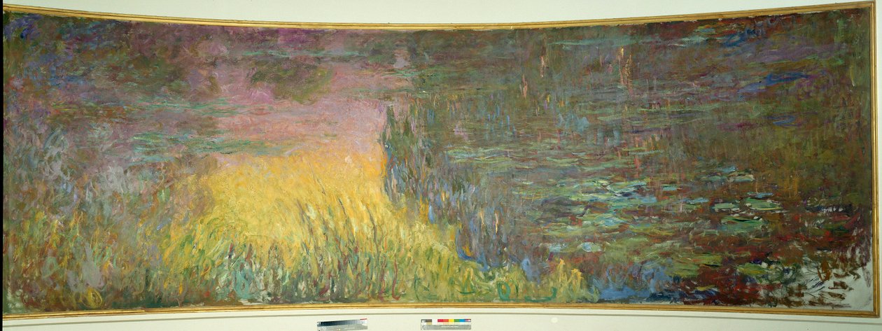 Les nymphéas, soleil couchant - Claude Monet