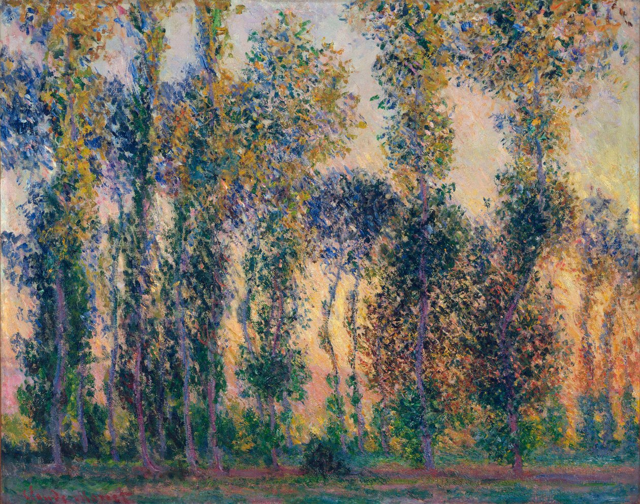Les peupliers à Giverny, lever du soleil - Claude Monet