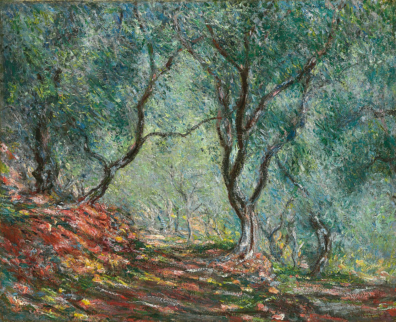 Oliviers au jardin Moreno, 1884 - Claude Monet